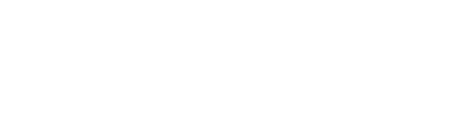 Logo website wit